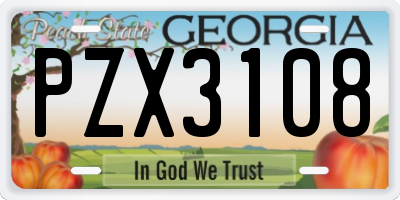 GA license plate PZX3108