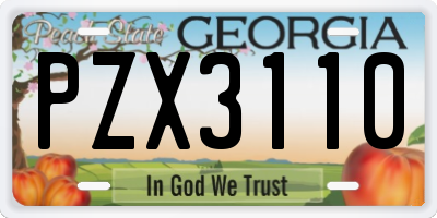 GA license plate PZX3110