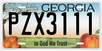 GA license plate PZX3111