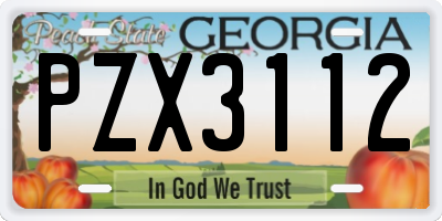 GA license plate PZX3112