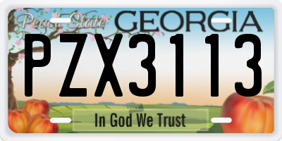 GA license plate PZX3113