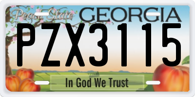 GA license plate PZX3115