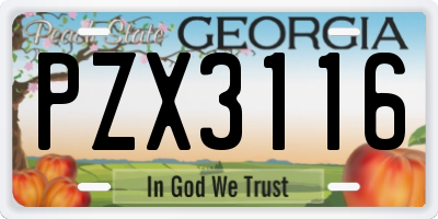 GA license plate PZX3116