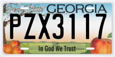 GA license plate PZX3117