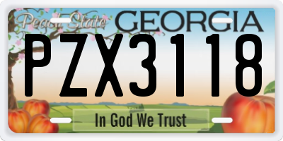 GA license plate PZX3118