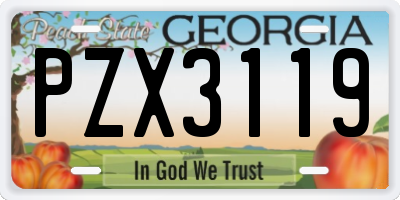 GA license plate PZX3119