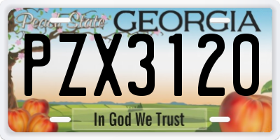 GA license plate PZX3120