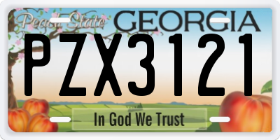 GA license plate PZX3121