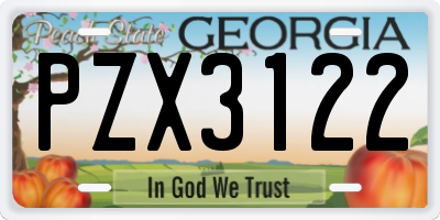 GA license plate PZX3122