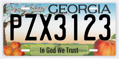 GA license plate PZX3123