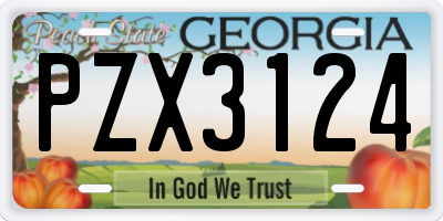 GA license plate PZX3124