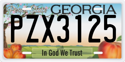 GA license plate PZX3125