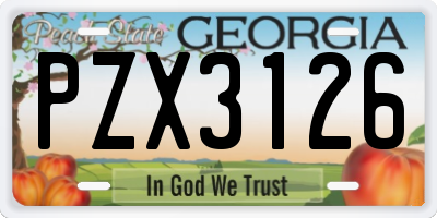 GA license plate PZX3126