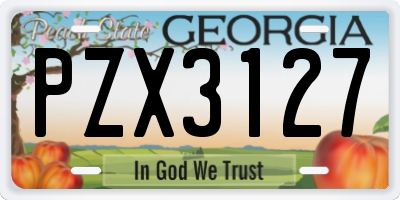 GA license plate PZX3127