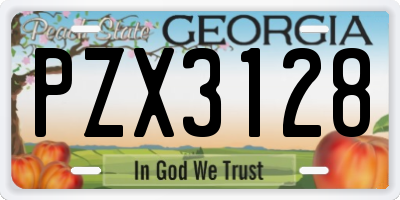 GA license plate PZX3128