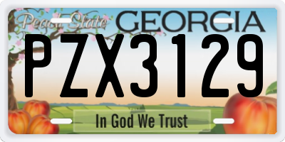 GA license plate PZX3129