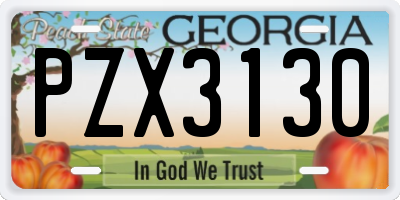 GA license plate PZX3130