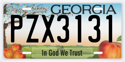 GA license plate PZX3131