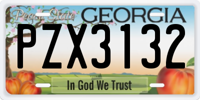 GA license plate PZX3132