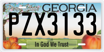 GA license plate PZX3133