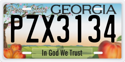 GA license plate PZX3134