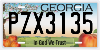 GA license plate PZX3135