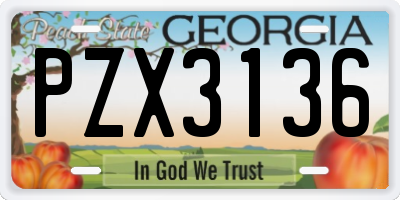 GA license plate PZX3136