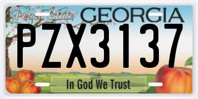 GA license plate PZX3137