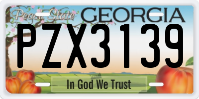 GA license plate PZX3139