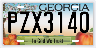 GA license plate PZX3140