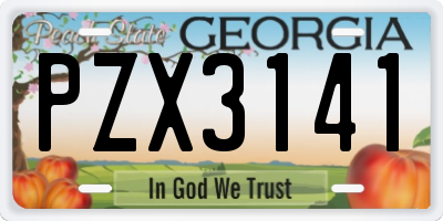 GA license plate PZX3141