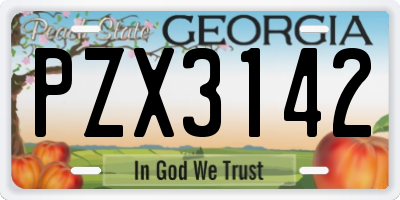 GA license plate PZX3142