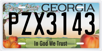 GA license plate PZX3143