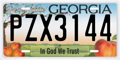 GA license plate PZX3144