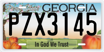 GA license plate PZX3145