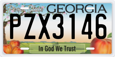 GA license plate PZX3146