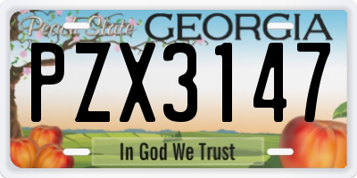 GA license plate PZX3147