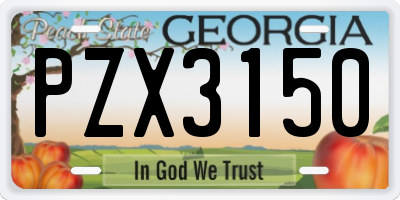 GA license plate PZX3150