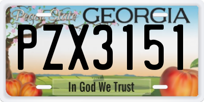 GA license plate PZX3151