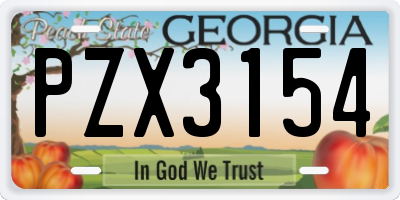 GA license plate PZX3154