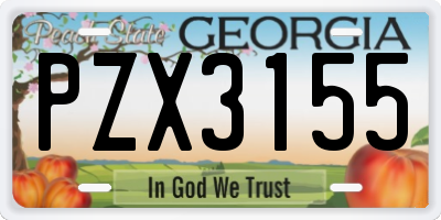 GA license plate PZX3155