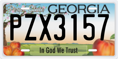 GA license plate PZX3157