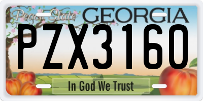 GA license plate PZX3160