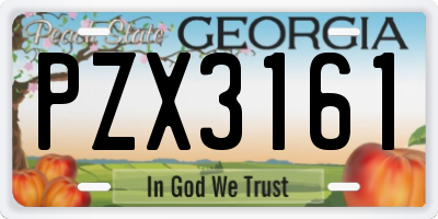 GA license plate PZX3161