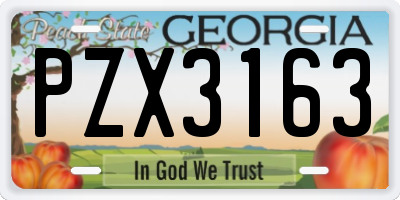 GA license plate PZX3163