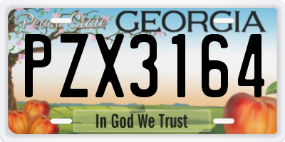 GA license plate PZX3164