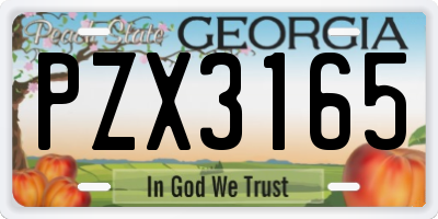 GA license plate PZX3165