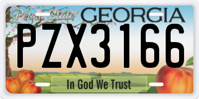 GA license plate PZX3166