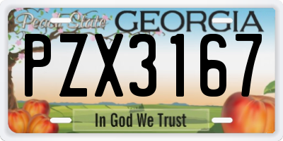 GA license plate PZX3167