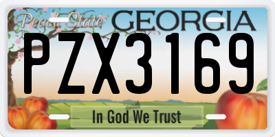 GA license plate PZX3169